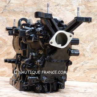 CARTER BLOC MOTEUR 40 CV 2T MERCURY MARINER 821358