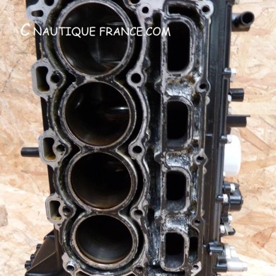 80 HP 4S CYLINDER BLOCK  MOTEUR MERCURY