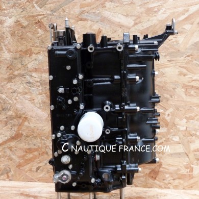 80 HP 4S CYLINDER BLOCK  MOTEUR MERCURY