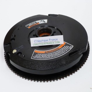 40 - 60 CV VOLANO MAGNETICO MERCURY MARINER 261 859234