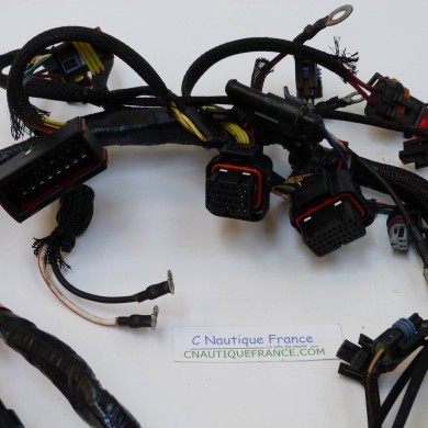 40 - 65 CV CABLAGGIO ELETTRICO ETEC EVINRUDE 587050