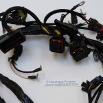 40 - 65 CV CABLAGGIO ELETTRICO ETEC EVINRUDE 587050