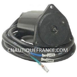 MOTEUR DE TRIM 70 - 250 CV HORS-BORD JOHNSON EVINRUDE