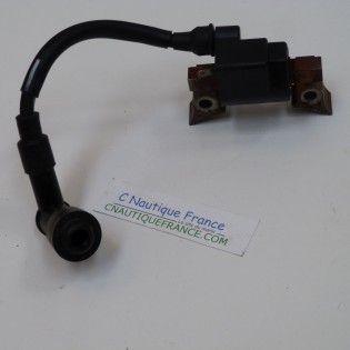 DF2.5 COIL 2.5 HP 4S SUZUKI 97J