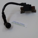 DF2.5 BOBINE 2.5 CV 4T SUZUKI 97J