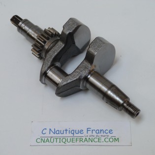 DF2.5A ALBERO A GOMITI 2.5 CV 4T SUZUKI 97J