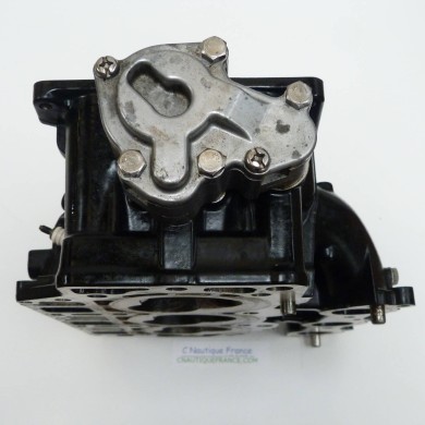 40 CV 4T DELLA TESTATA MERCURY MARINER 40PT4S 877568T