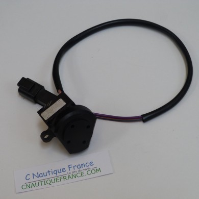 CICALINO JOHNSON EVINRUDE 176360