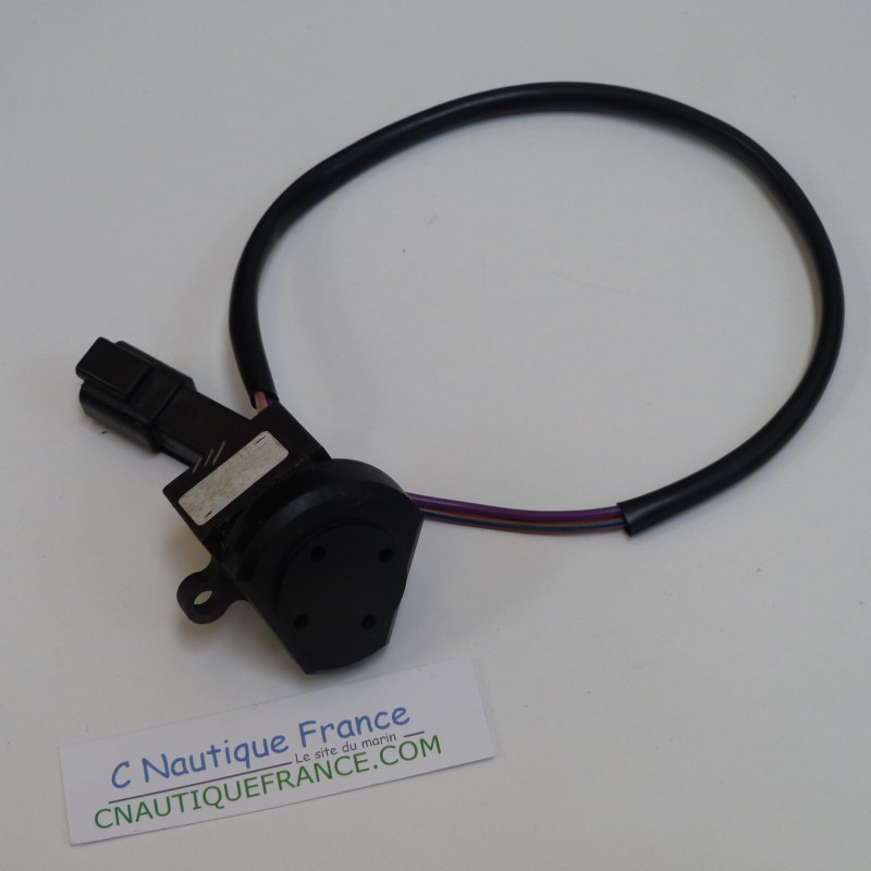 CICALINO JOHNSON EVINRUDE 176360