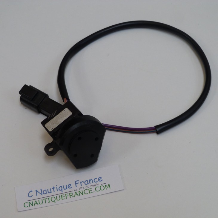 CICALINO JOHNSON EVINRUDE 176360