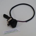 CICALINO JOHNSON EVINRUDE 176360