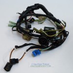 F30 F40 CABLAGGIO ELETTRICO 30 - 40 CV YAMAHA 69H 67C 67C-82590-50