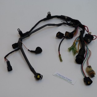 75 - 90 HP 4S HARNESS MERCURY MARINER 8042903