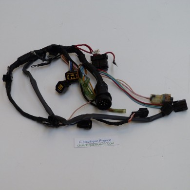 75 - 90 CV 4T FAISCEAU MERCURY MARINER 8042903