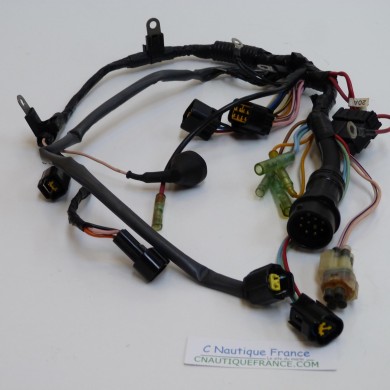 75 - 90 CV 4T FAISCEAU MERCURY MARINER 8042903