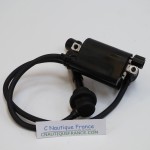 DF90 DF140 BOBINA DI ACCENSIONE 90 - 140 CV 90J SUZUKI EVINRUDE JOHNSON