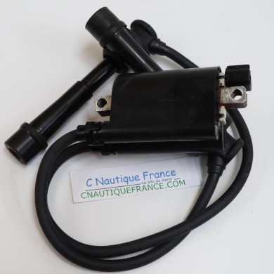 DF90 DF140 BOBINA DI ACCENSIONE 90 - 140 CV 90J SUZUKI EVINRUDE JOHNSON