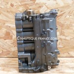 BLOCCO MOTORE 50 CV YAMAHA 62Y F50