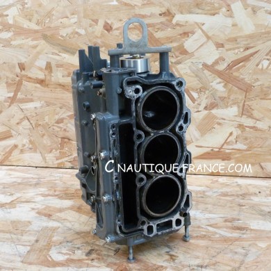 BF35 BF50 CRANKCASE 35 - 50 HP 4S HONDA 1200-ZV5-010ZA