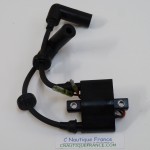 BOBINE 15 - 20 -25 CV 4T YAMAHA 6F5-85570-13-00