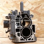 F25 BLOC MOTEUR 25 CV 4T YAMAHA 65W