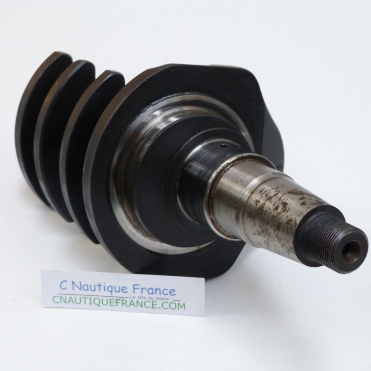 VILEBREQUIN 25 CV 4T YAMAHA 65W F25