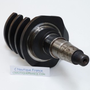 VILEBREQUIN 25 CV 4T YAMAHA 65W F25