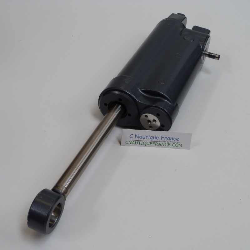 F30 F40 CILINDRO IDRAULICO 30 - 40 CV 4T YAMAHA 67C