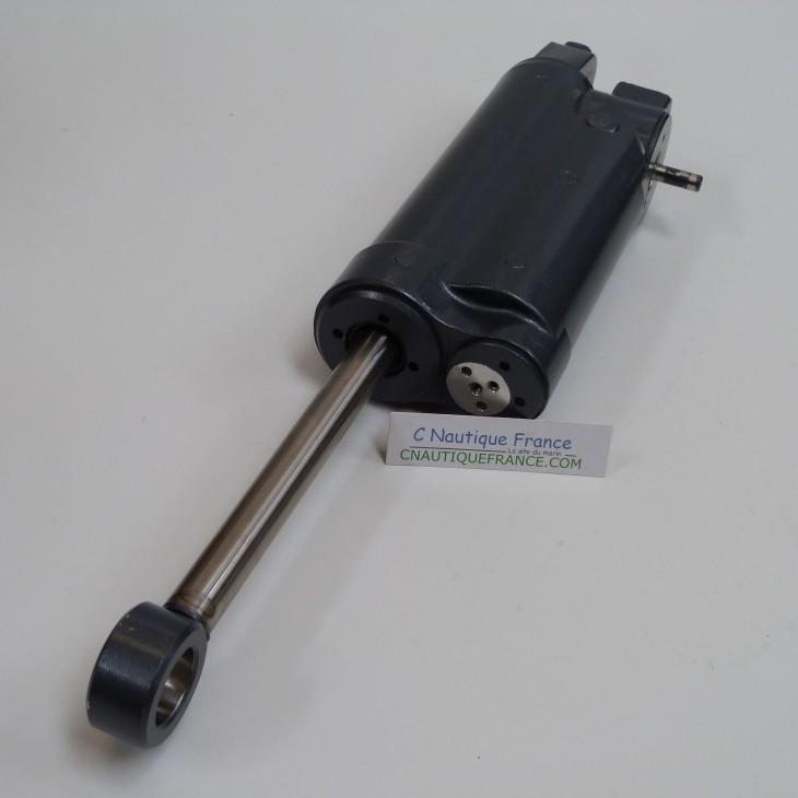 F30 F40 CILINDRO IDRAULICO 30 - 40 CV 4T YAMAHA 67C