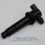 Ignition coil 40 - 50 HP SUZUKI DF40 DF50