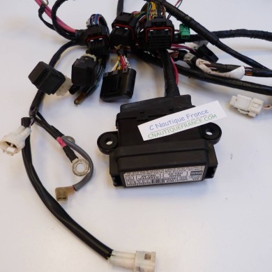 FAISCEAU DE CABLES 150 - 175 CV 4T SUZUKI 96J DF150