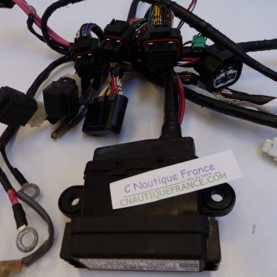 FAISCEAU DE CABLES 150 - 175 CV 4T SUZUKI 96J DF150