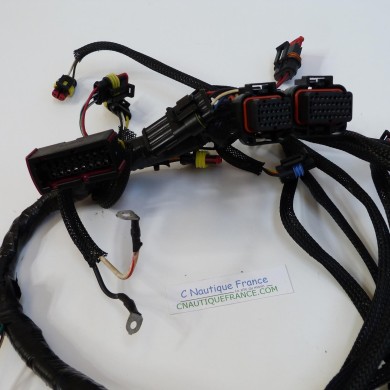 40 - 60 CV CABLAGGIO ELETTRICO ETEC EVINRUDE 586863