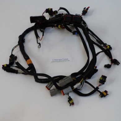 Faisceau de cable 40 - 60 cv evinrude e-tec 586863