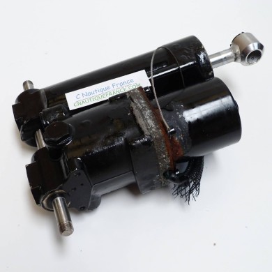 15 - 60 CV TRIM MOTORE EVINRUDE E-TEC