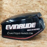 CALANDRA 115CV EVINRUDE