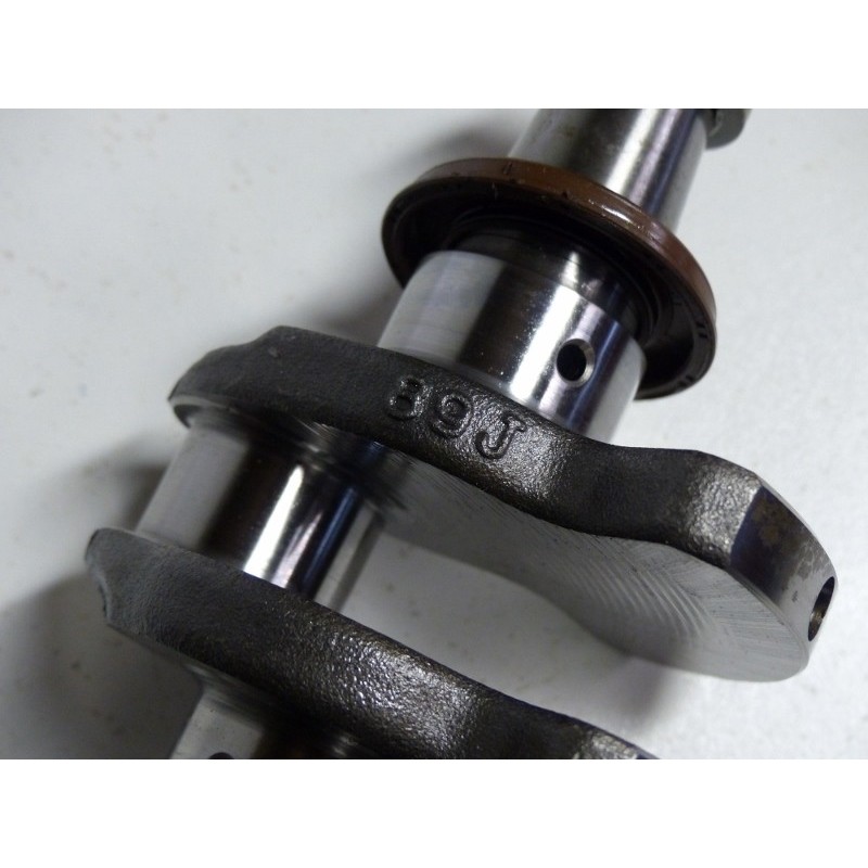 掛軸 掛軸 (掛け軸) 龍神図 高畠周峰 尺五立 約横54.5cm×縦190cm