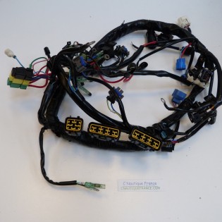 FAISCEAU DE CABLES 115 CV 2T TOHATSU 3T1 TLDI MD115A