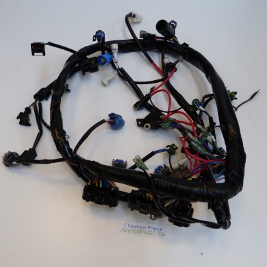 FAISCEAU DE CABLES 115 CV 2T TOHATSU 3T1 TLDI MD115A