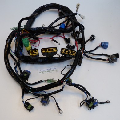 FAISCEAU DE CABLES 115 CV 2T TOHATSU 3T1 TLDI MD115A