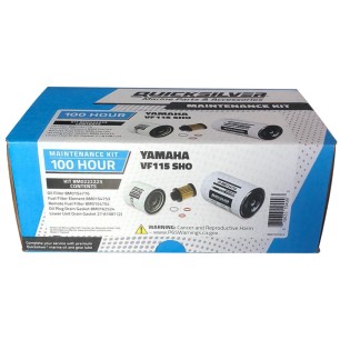VF115 SHO KIT DI REVISIONE 100H PER YAMAHA