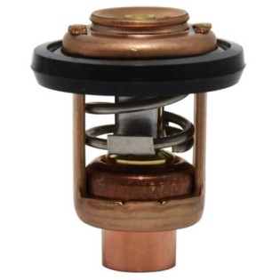 BF4 BF15 THERMOSTAT FOR HONDA 881