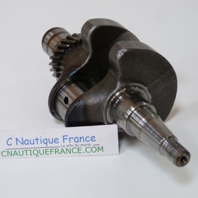 4 - 6 CV 4T VILEBREQUIN MERCURY TOHATSU