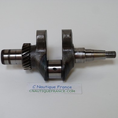 4 - 6 CV 4T ALBERO A GOMITI MERCURY TOHATSU