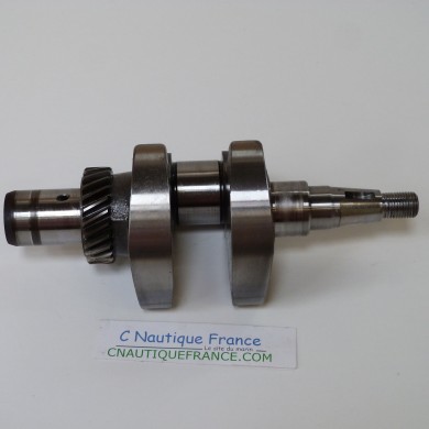 4 - 6 CV 4T VILEBREQUIN MERCURY TOHATSU