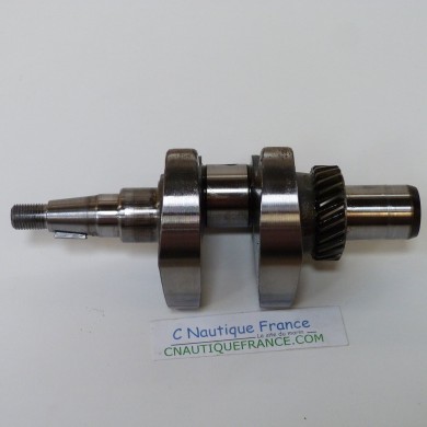 4 - 6 CV 4T VILEBREQUIN TOHATSU MERCURY 3H6