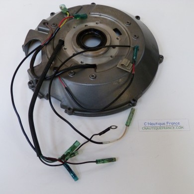 DT55 DT65 IGNITION PLATE 55 - 65 HP 2S SUZUKI