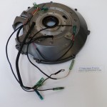 DT55 DT65 MAGNETO ACCENSIONE 55 - 65 CV 2T SUZUKI