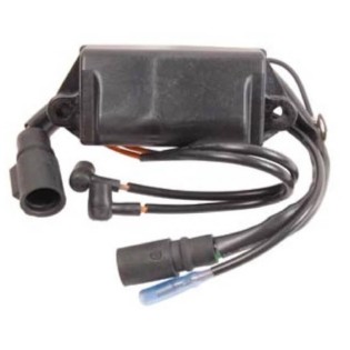 25 - 50 CV CDI POUR EVINRUDE JOHNSON