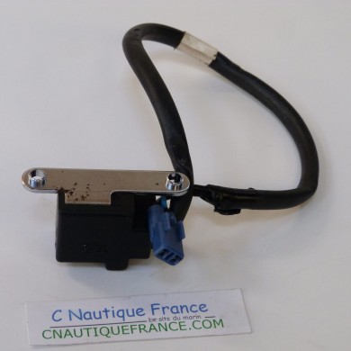 BF8 BF10 PULSOR 8 - 10 CV HONDA 30310-ZW9-003